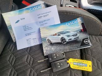 Opel Cascada Cascada 1.6 Turbo AUTOM Innovation  180 PK rijdbaar picture 21