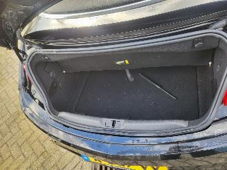 Opel Cascada Cascada 1.6 Turbo AUTOM Innovation  180 PK rijdbaar picture 25