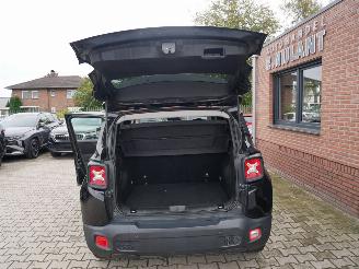 Jeep Renegade LONGITUDE picture 15