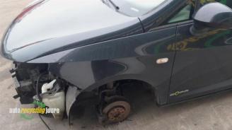 Seat Ibiza Ibiza ST (6J8), Combi, 2010 / 2016 1.2 TDI Ecomotive picture 14