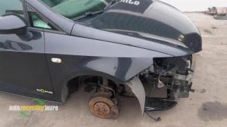 Seat Ibiza Ibiza ST (6J8), Combi, 2010 / 2016 1.2 TDI Ecomotive picture 2