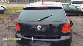 Volkswagen Polo Polo V (6R), Hatchback, 2009 / 2017 1.2 12V BlueMotion Technology picture 5