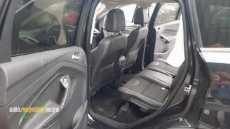 Ford Kuga Kuga II (DM2), SUV, 2012 2.0 TDCi 16V 163 4x4 picture 16