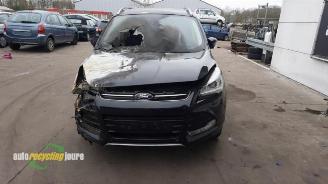 Ford Kuga Kuga II (DM2), SUV, 2012 2.0 TDCi 16V 163 4x4 picture 7