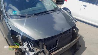 Peugeot 207 207 SW (WE/WU), Combi, 2007 / 2013 1.4 16V Vti picture 22