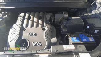 Hyundai Santa Fe Santa Fe II (CM), SUV, 2006 / 2012 2.7 V6 24V 4x4 picture 18