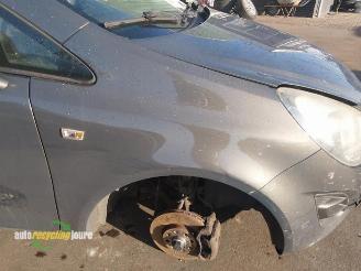 Opel Corsa Corsa D, Hatchback, 2006 / 2014 1.3 CDTi 16V ecoFLEX picture 15