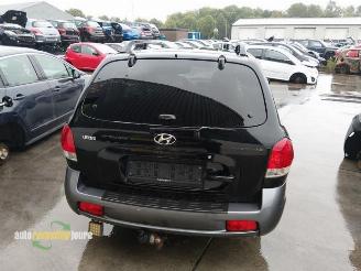 Hyundai Santa Fe Santa Fe I, SUV, 2000 / 2006 2.4 16V 4x2 picture 5