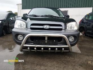 Hyundai Santa Fe Santa Fe I, SUV, 2000 / 2006 2.4 16V 4x2 picture 9