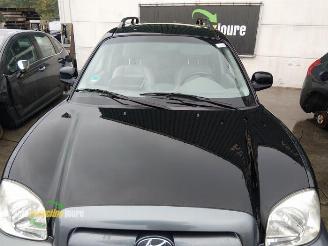 Hyundai Santa Fe Santa Fe I, SUV, 2000 / 2006 2.4 16V 4x2 picture 12