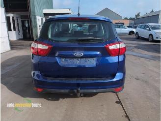 Ford C-Max C-Max (DXA), MPV, 2010 / 2019 1.0 Ti-VCT EcoBoost 12V 125 picture 4