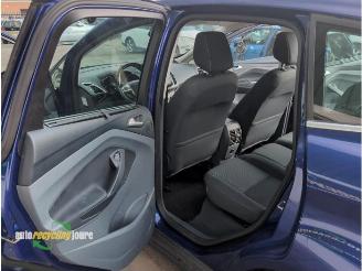 Ford C-Max C-Max (DXA), MPV, 2010 / 2019 1.0 Ti-VCT EcoBoost 12V 125 picture 19