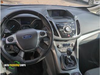 Ford C-Max C-Max (DXA), MPV, 2010 / 2019 1.0 Ti-VCT EcoBoost 12V 125 picture 13