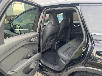 Audi Q4 e-Tron 40 Launch edition S Competition picture 15