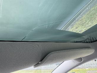 Tesla Model 3  picture 19