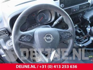 Opel Combo Combo Cargo, Van, 2018 1.5 CDTI 100 picture 14