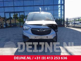 Opel Combo Combo Cargo, Van, 2018 1.5 CDTI 100 picture 2