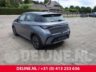 BYD Dolphin Dolphin, Hatchback 5-drs, 2021 60,4 kWh picture 5