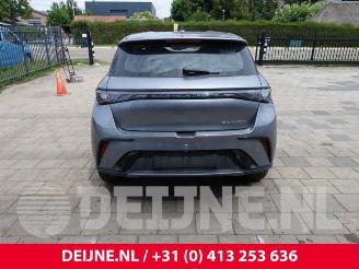 BYD Dolphin Dolphin, Hatchback 5-drs, 2021 60,4 kWh picture 6