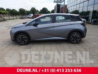 BYD Dolphin Dolphin, Hatchback 5-drs, 2021 60 kWh picture 4