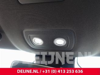 BYD Dolphin Dolphin, Hatchback 5-drs, 2021 60 kWh picture 21