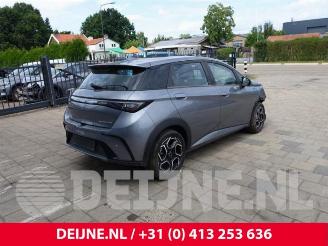 BYD Dolphin Dolphin, Hatchback 5-drs, 2021 60 kWh picture 7