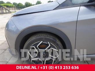 BYD Dolphin Dolphin, Hatchback 5-drs, 2021 60 kWh picture 9