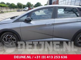 BYD Dolphin Dolphin, Hatchback 5-drs, 2021 60 kWh picture 16