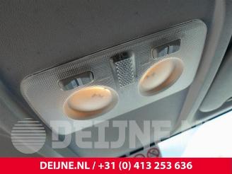 Fiat Doblo Doblo Cargo (263), Van, 2010 1.4 16V picture 27