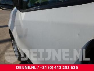Fiat Doblo Doblo Cargo (263), Van, 2010 1.4 16V picture 16