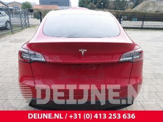 Tesla Model Y Model Y (5YJY), SUV, 2019 / 2025 RWD picture 27