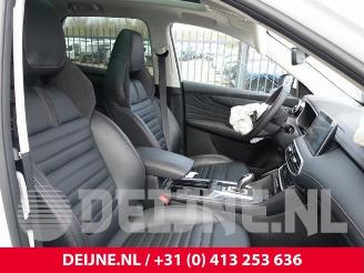 MG EHS HS/EHS I (AS23), SUV, 2018 1.5 EHS T-GDI Hybrid picture 34