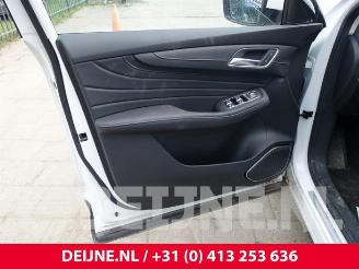 MG EHS HS/EHS I (AS23), SUV, 2018 1.5 EHS T-GDI Hybrid picture 17