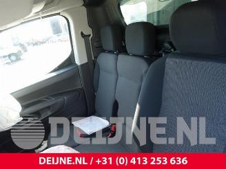 Citroën Berlingo Berlingo, Van, 2018 1.5 BlueHDi 130 picture 20