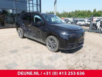 Coche siniestrado Leapmotor C10 C10, SUV, 2020 69.9 kWh 2025/4