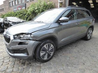 Schadeauto Skoda Karoq Ambition 2024/1