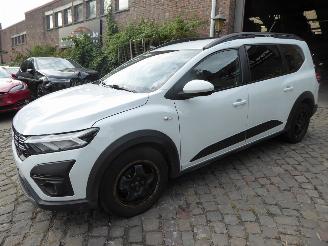 Schadeauto Dacia Jogger Expression 2024/10