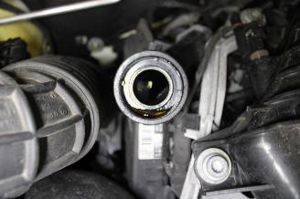 Volkswagen Transporter T6 picture 19