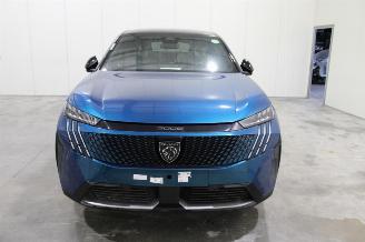 Peugeot 3008  picture 6