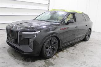 Dezmembrări autoturisme Hongqi EHS9 E-HS9 2024/5