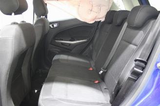 Ford EcoSport  picture 12