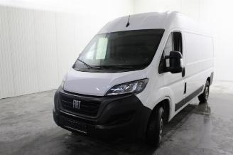 Dezmembrări autoturisme Fiat Ducato  2023/6