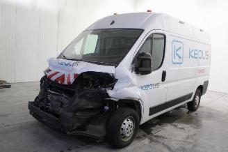 Damaged car Opel Movano  2024/3