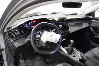 Peugeot 308  picture 9