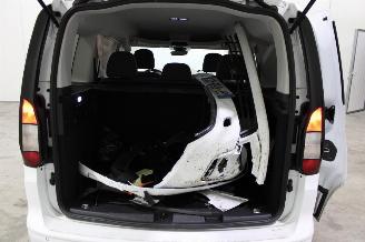 Ford Tourneo Connect  picture 19
