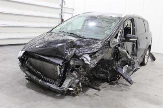Sloopauto Ford S-Max  2019/3