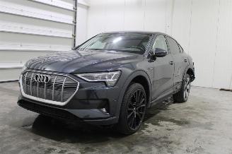 Schadeauto Audi E-tron  2022/1