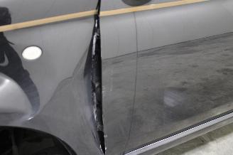 Fiat 500  picture 8