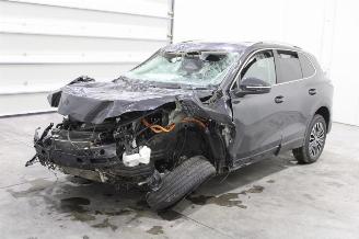  Volkswagen Tiguan  2024/12