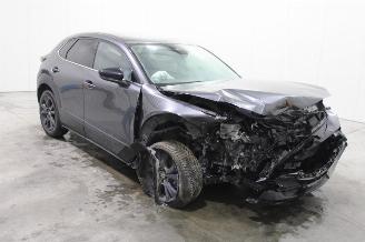 Mazda CX-30  picture 2